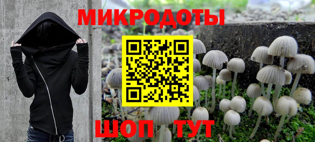 Псилоцибиновые грибы MAGIC MUSHROOMS Сыктывкар